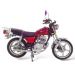 Moto de Combustión MZ-GN 200cc - Imagen 3