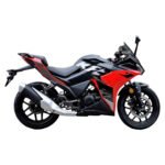 Moto de Combustión MZ-KPR 250cc - Imagen 2